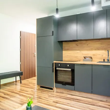 Lipowa 26 Apartment Gliwice