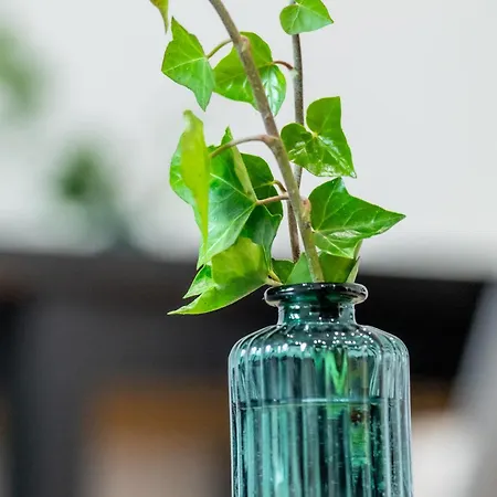 Apartment Lipowa 26 Gliwice