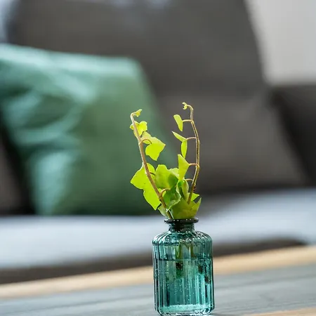 Lipowa 26 Apartment Gliwice