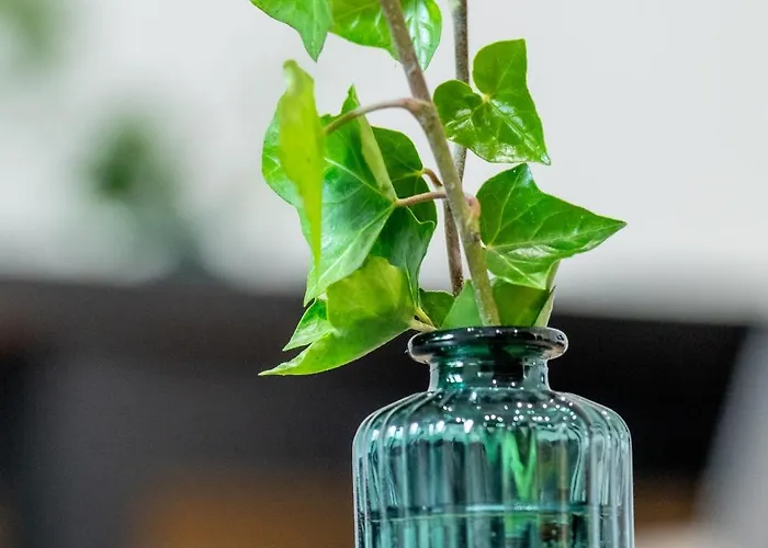 Apartamento Lipowa 26 Gliwice