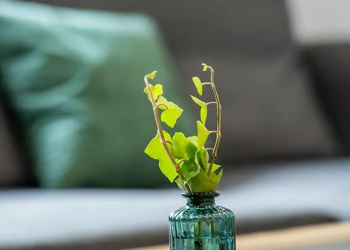 Lipowa 26 Apartamento Gliwice